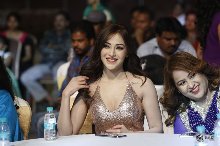 Rogue-Movie-Audio-Launch